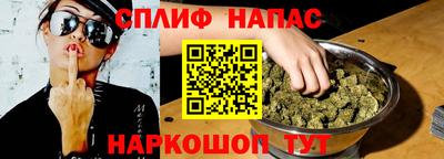 гидра Моздок
