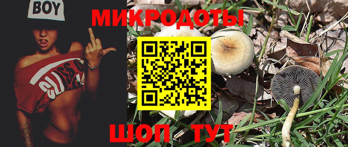 Выкса  Галлюциногенные грибы GOLDEN TEACHER  Вход с VPN 